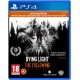 Dying Light: The Following PL